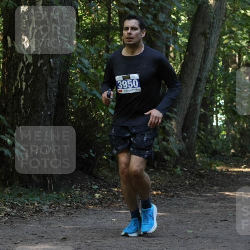 28.09.2025 - 33. Volkslauf durch das schöne Alstertal Strokosch-Dieckow http://msf.ph/oto/8969446 28.09.2025 11:27:54 Laufen 3950, 3905 meine-sportfotos.de