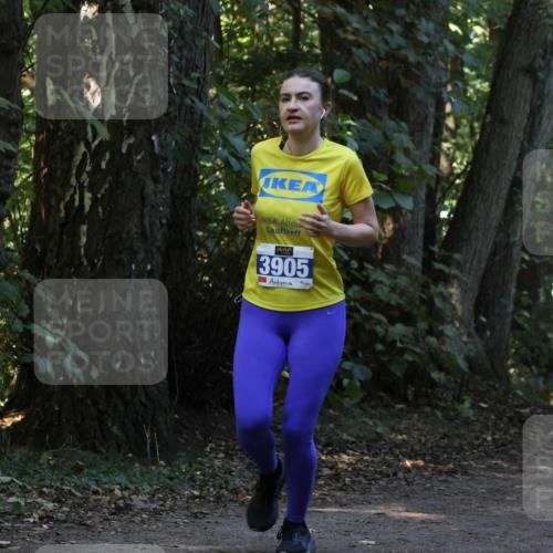 28.09.2025 - 33. Volkslauf durch das schöne Alstertal Strokosch-Dieckow http://msf.ph/oto/8969447 28.09.2025 11:27:58 Laufen 3905 meine-sportfotos.de