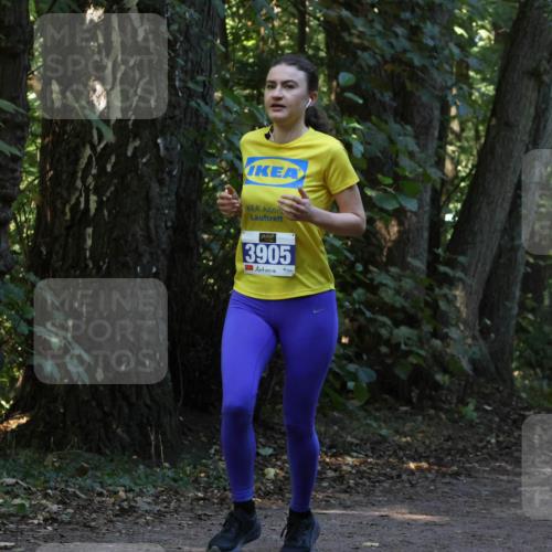 28.09.2025 - 33. Volkslauf durch das schöne Alstertal Strokosch-Dieckow http://msf.ph/oto/8969448 28.09.2025 11:27:58 Laufen 3905 meine-sportfotos.de