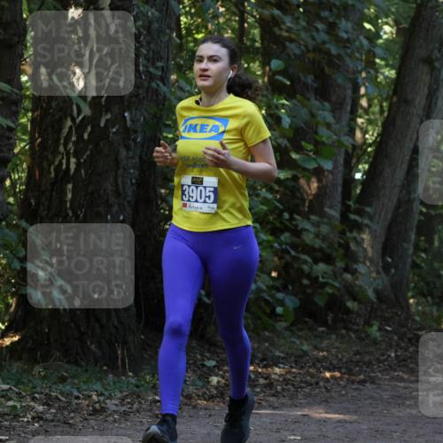 28.09.2025 - 33. Volkslauf durch das schöne Alstertal Strokosch-Dieckow http://msf.ph/oto/8969449 28.09.2025 11:27:58 Laufen 3905 meine-sportfotos.de
