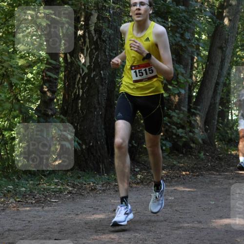28.09.2025 - 33. Volkslauf durch das schöne Alstertal Strokosch-Dieckow http://msf.ph/oto/8969454 28.09.2025 11:28:07 Laufen 1515, 1546 meine-sportfotos.de
