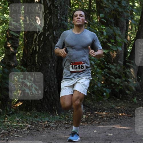 28.09.2025 - 33. Volkslauf durch das schöne Alstertal Strokosch-Dieckow http://msf.ph/oto/8969458 28.09.2025 11:28:09 Laufen 1546 meine-sportfotos.de