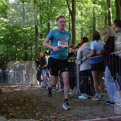 28.09.2025 - 33. Volkslauf durch das schöne Alstertal Strokosch-Dieckow http://msf.ph/oto/8969462 28.09.2025 11:50:10 Ziel 1593, 3389, 3390 meine-sportfotos.de
