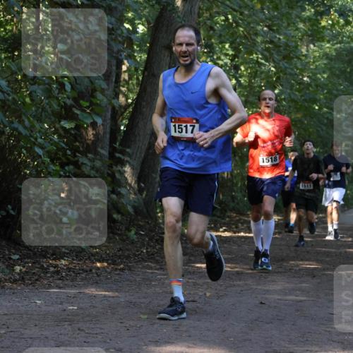 28.09.2025 - 33. Volkslauf durch das schöne Alstertal Strokosch-Dieckow http://msf.ph/oto/8969465 28.09.2025 11:28:23 Laufen 1517, 1518, 1511, 1514 meine-sportfotos.de