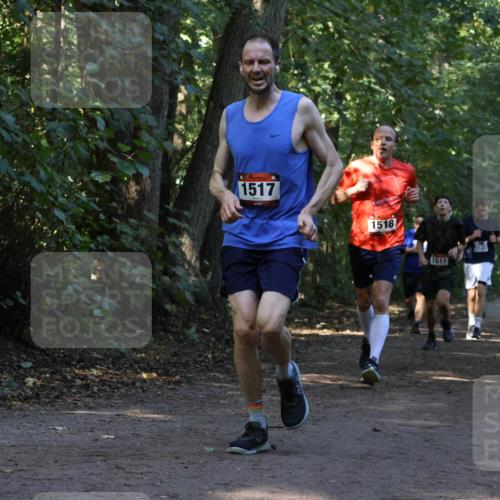28.09.2025 - 33. Volkslauf durch das schöne Alstertal Strokosch-Dieckow http://msf.ph/oto/8969466 28.09.2025 11:28:23 Laufen 1517, 1518, 1511, 1514 meine-sportfotos.de