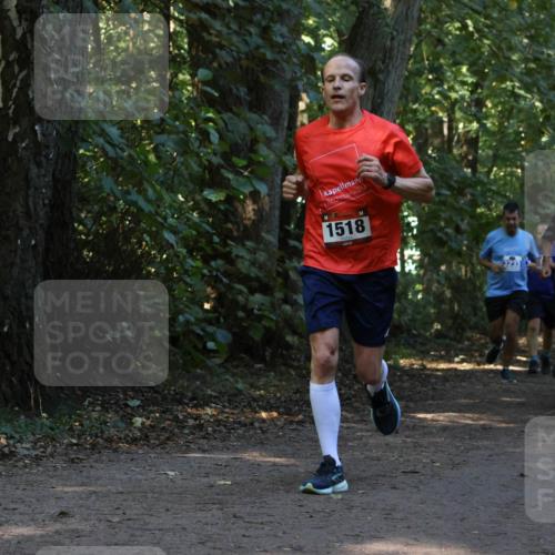 28.09.2025 - 33. Volkslauf durch das schöne Alstertal Strokosch-Dieckow http://msf.ph/oto/8969468 28.09.2025 11:28:25 Laufen 1518, 3233, 1511 meine-sportfotos.de