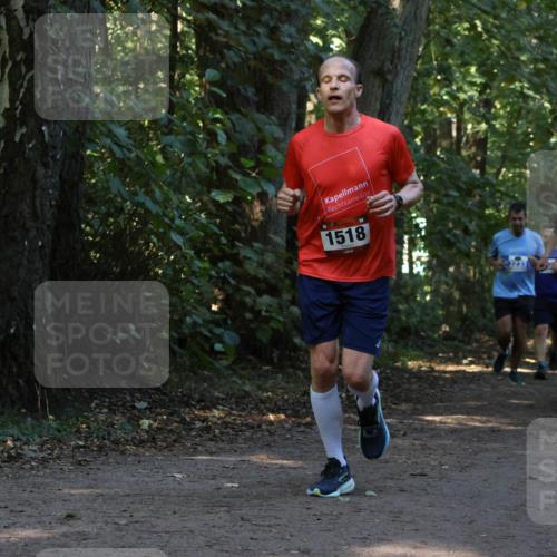 28.09.2025 - 33. Volkslauf durch das schöne Alstertal Strokosch-Dieckow http://msf.ph/oto/8969469 28.09.2025 11:28:25 Laufen 1518, 3233, 1511 meine-sportfotos.de