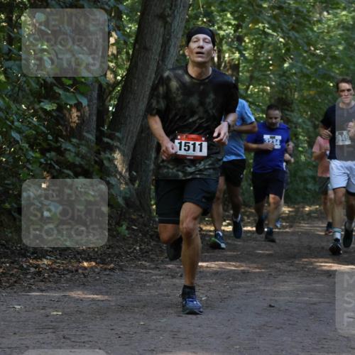 28.09.2025 - 33. Volkslauf durch das schöne Alstertal Strokosch-Dieckow http://msf.ph/oto/8969471 28.09.2025 11:28:28 Laufen 1511, 3234, 3949, 1514 meine-sportfotos.de