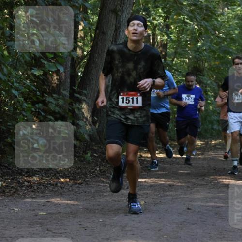 28.09.2025 - 33. Volkslauf durch das schöne Alstertal Strokosch-Dieckow http://msf.ph/oto/8969472 28.09.2025 11:28:28 Laufen 1511, 3234, 3949, 1514 meine-sportfotos.de