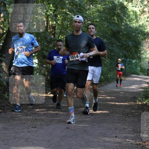 28.09.2025 - 33. Volkslauf durch das schöne Alstertal Strokosch-Dieckow http://msf.ph/oto/8969473 28.09.2025 11:28:29 Laufen 3233, 3234, 1514 meine-sportfotos.de