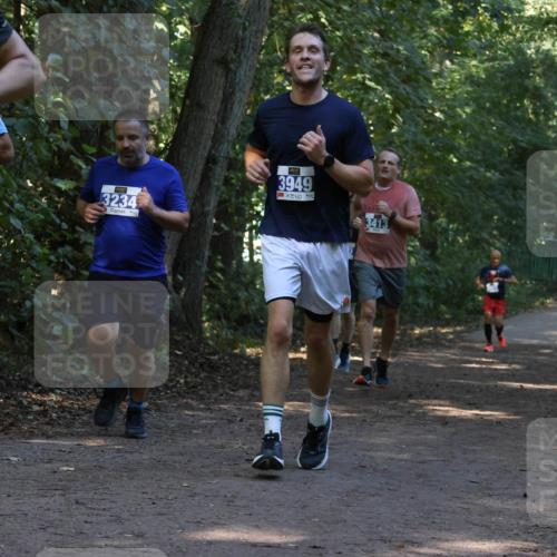 28.09.2025 - 33. Volkslauf durch das schöne Alstertal Strokosch-Dieckow http://msf.ph/oto/8969475 28.09.2025 11:28:32 Laufen 4, 3234, 3949, 3413 meine-sportfotos.de