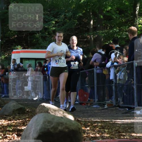 28.09.2025 - 33. Volkslauf durch das schöne Alstertal Strokosch-Dieckow http://msf.ph/oto/8969476 28.09.2025 11:50:13 Ziel 3389, 3390 meine-sportfotos.de