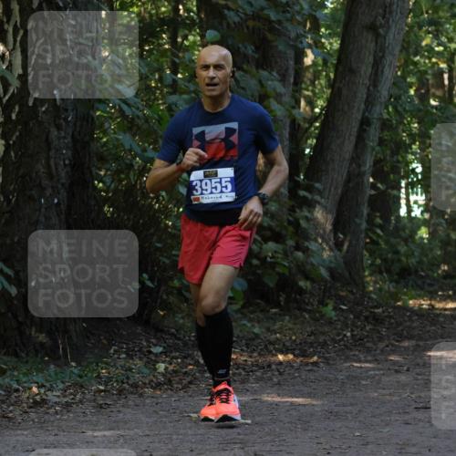 28.09.2025 - 33. Volkslauf durch das schöne Alstertal Strokosch-Dieckow http://msf.ph/oto/8969479 28.09.2025 11:28:44 Laufen 3955 meine-sportfotos.de