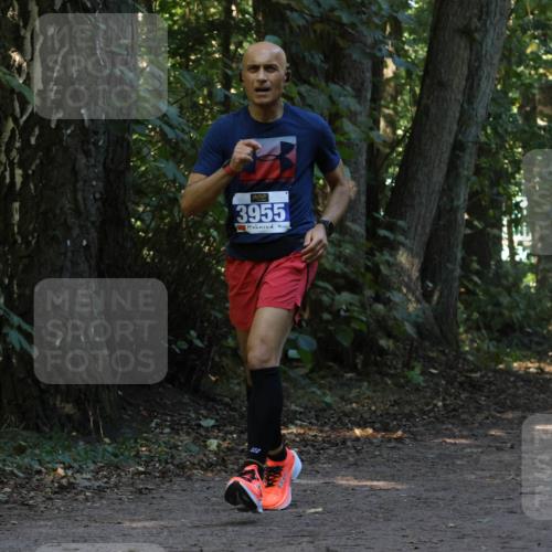 28.09.2025 - 33. Volkslauf durch das schöne Alstertal Strokosch-Dieckow http://msf.ph/oto/8969480 28.09.2025 11:28:44 Laufen 3955, 122 meine-sportfotos.de