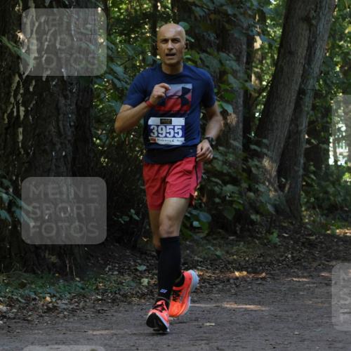 28.09.2025 - 33. Volkslauf durch das schöne Alstertal Strokosch-Dieckow http://msf.ph/oto/8969481 28.09.2025 11:28:44 Laufen 3955 meine-sportfotos.de