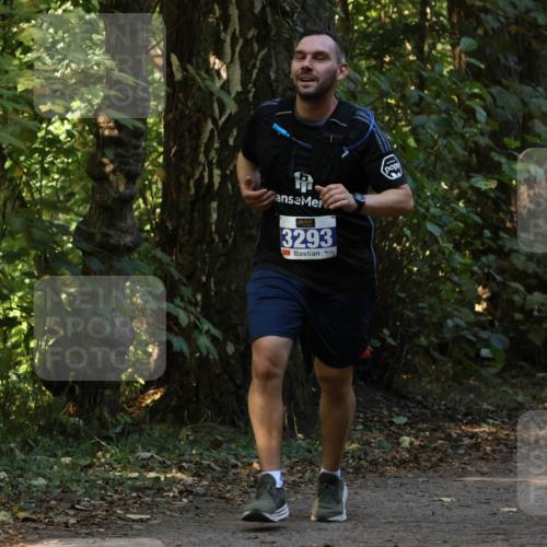 28.09.2025 - 33. Volkslauf durch das schöne Alstertal Strokosch-Dieckow http://msf.ph/oto/8969482 28.09.2025 11:28:53 Laufen 3293 meine-sportfotos.de