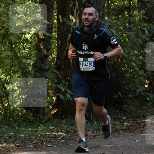 28.09.2025 - 33. Volkslauf durch das schöne Alstertal Strokosch-Dieckow http://msf.ph/oto/8969484 28.09.2025 11:28:53 Laufen 3293 meine-sportfotos.de