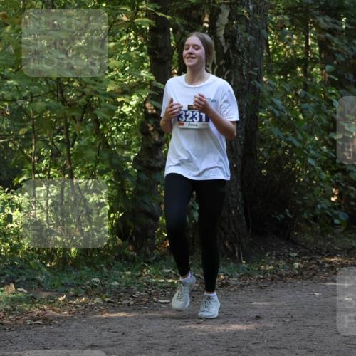 28.09.2025 - 33. Volkslauf durch das schöne Alstertal Strokosch-Dieckow http://msf.ph/oto/8969485 28.09.2025 11:28:57 Laufen 3231, 3125 meine-sportfotos.de