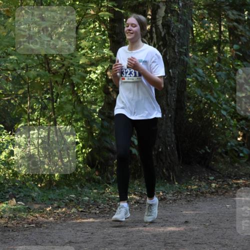 28.09.2025 - 33. Volkslauf durch das schöne Alstertal Strokosch-Dieckow http://msf.ph/oto/8969486 28.09.2025 11:28:57 Laufen 3231, 31 meine-sportfotos.de