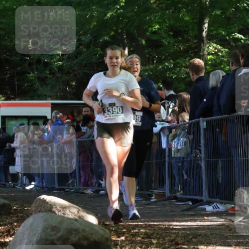 28.09.2025 - 33. Volkslauf durch das schöne Alstertal Strokosch-Dieckow http://msf.ph/oto/8969487 28.09.2025 11:50:14 Ziel 3389, 3390 meine-sportfotos.de