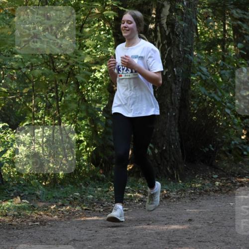 28.09.2025 - 33. Volkslauf durch das schöne Alstertal Strokosch-Dieckow http://msf.ph/oto/8969488 28.09.2025 11:28:57 Laufen 325 meine-sportfotos.de