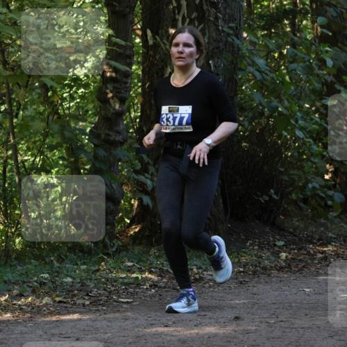 28.09.2025 - 33. Volkslauf durch das schöne Alstertal Strokosch-Dieckow http://msf.ph/oto/8969491 28.09.2025 11:29:04 Laufen 3377 meine-sportfotos.de