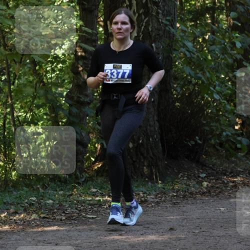 28.09.2025 - 33. Volkslauf durch das schöne Alstertal Strokosch-Dieckow http://msf.ph/oto/8969493 28.09.2025 11:29:04 Laufen 3377 meine-sportfotos.de