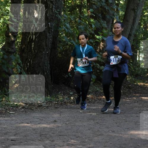 28.09.2025 - 33. Volkslauf durch das schöne Alstertal Strokosch-Dieckow http://msf.ph/oto/8969506 28.09.2025 11:29:18 Laufen 6017, 3151, 3147 meine-sportfotos.de