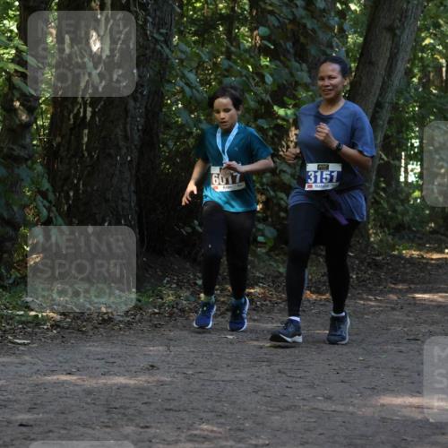 28.09.2025 - 33. Volkslauf durch das schöne Alstertal Strokosch-Dieckow http://msf.ph/oto/8969507 28.09.2025 11:29:18 Laufen 6017, 3151, 3147 meine-sportfotos.de