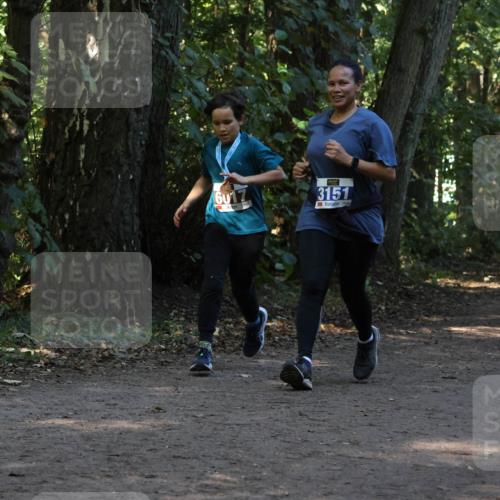 28.09.2025 - 33. Volkslauf durch das schöne Alstertal Strokosch-Dieckow http://msf.ph/oto/8969508 28.09.2025 11:29:18 Laufen 6017, 3151, 3147 meine-sportfotos.de