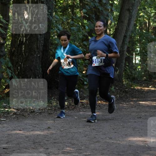 28.09.2025 - 33. Volkslauf durch das schöne Alstertal Strokosch-Dieckow http://msf.ph/oto/8969509 28.09.2025 11:29:18 Laufen 6017, 3151 meine-sportfotos.de