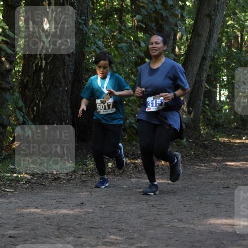 28.09.2025 - 33. Volkslauf durch das schöne Alstertal Strokosch-Dieckow http://msf.ph/oto/8969510 28.09.2025 11:29:18 Laufen 6017, 315, 3147 meine-sportfotos.de
