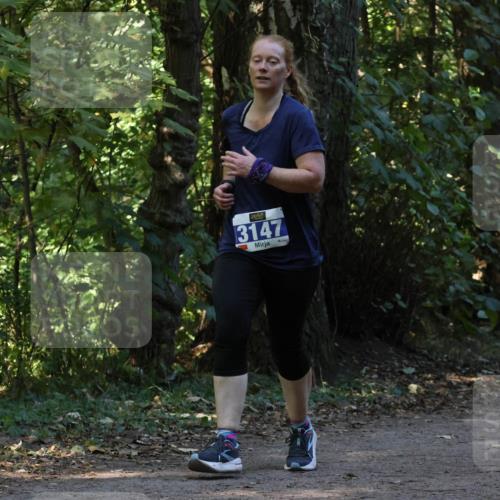 28.09.2025 - 33. Volkslauf durch das schöne Alstertal Strokosch-Dieckow http://msf.ph/oto/8969513 28.09.2025 11:29:25 Laufen 3147 meine-sportfotos.de