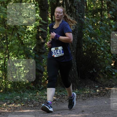 28.09.2025 - 33. Volkslauf durch das schöne Alstertal Strokosch-Dieckow http://msf.ph/oto/8969514 28.09.2025 11:29:25 Laufen 3147 meine-sportfotos.de