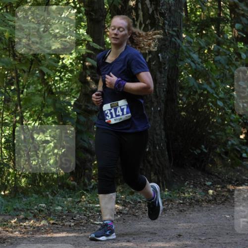 28.09.2025 - 33. Volkslauf durch das schöne Alstertal Strokosch-Dieckow http://msf.ph/oto/8969515 28.09.2025 11:29:25 Laufen 3147 meine-sportfotos.de