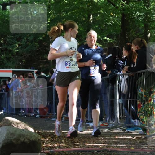 28.09.2025 - 33. Volkslauf durch das schöne Alstertal Strokosch-Dieckow http://msf.ph/oto/8969518 28.09.2025 11:50:15 Ziel 3389, 3390 meine-sportfotos.de