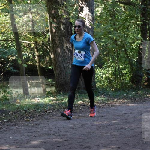28.09.2025 - 33. Volkslauf durch das schöne Alstertal Strokosch-Dieckow http://msf.ph/oto/8969521 28.09.2025 11:29:44 Laufen 3324 meine-sportfotos.de