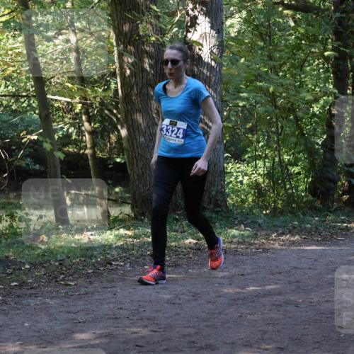 28.09.2025 - 33. Volkslauf durch das schöne Alstertal Strokosch-Dieckow http://msf.ph/oto/8969522 28.09.2025 11:29:44 Laufen 3324 meine-sportfotos.de