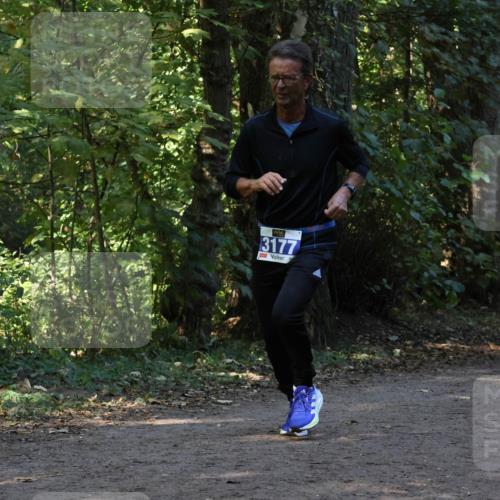 28.09.2025 - 33. Volkslauf durch das schöne Alstertal Strokosch-Dieckow http://msf.ph/oto/8969524 28.09.2025 11:29:55 Laufen 3177, 3255 meine-sportfotos.de
