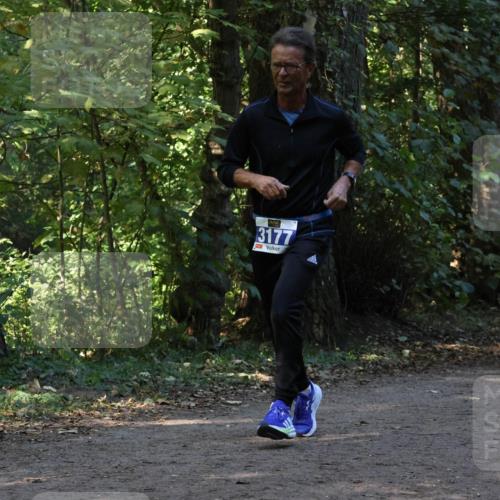28.09.2025 - 33. Volkslauf durch das schöne Alstertal Strokosch-Dieckow http://msf.ph/oto/8969525 28.09.2025 11:29:55 Laufen 3177, 3255 meine-sportfotos.de