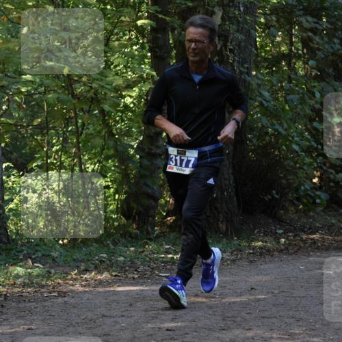 28.09.2025 - 33. Volkslauf durch das schöne Alstertal Strokosch-Dieckow http://msf.ph/oto/8969526 28.09.2025 11:29:55 Laufen 3177, 3255 meine-sportfotos.de