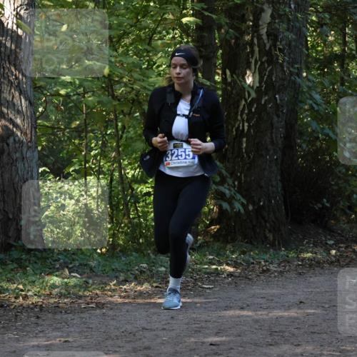 28.09.2025 - 33. Volkslauf durch das schöne Alstertal Strokosch-Dieckow http://msf.ph/oto/8969528 28.09.2025 11:29:57 Laufen 3255 meine-sportfotos.de
