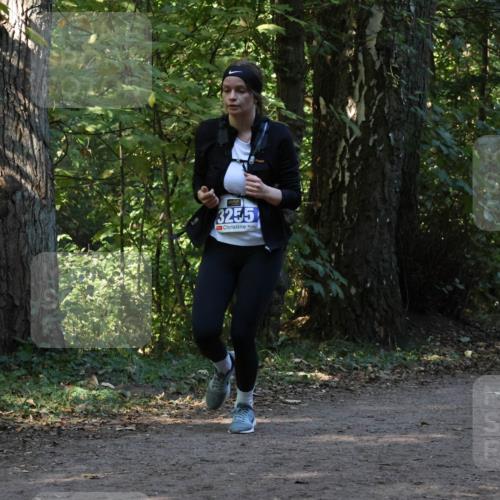 28.09.2025 - 33. Volkslauf durch das schöne Alstertal Strokosch-Dieckow http://msf.ph/oto/8969529 28.09.2025 11:29:57 Laufen 3255 meine-sportfotos.de