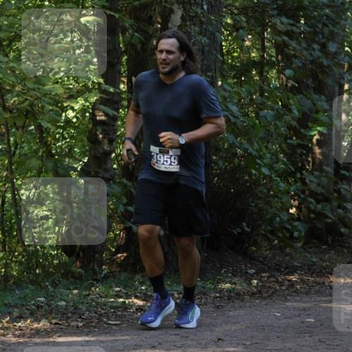 28.09.2025 - 33. Volkslauf durch das schöne Alstertal Strokosch-Dieckow http://msf.ph/oto/8969531 28.09.2025 11:30:01 Laufen 3959, 3346, 30 meine-sportfotos.de