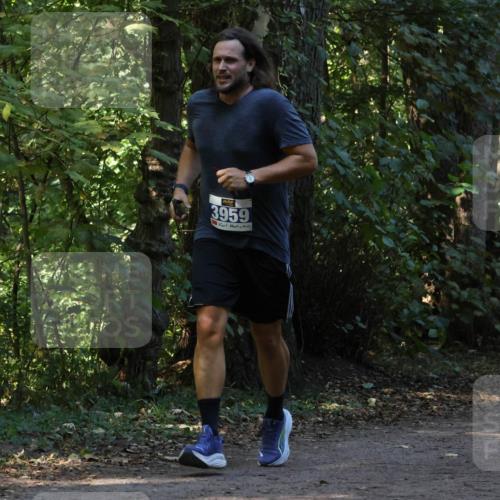 28.09.2025 - 33. Volkslauf durch das schöne Alstertal Strokosch-Dieckow http://msf.ph/oto/8969532 28.09.2025 11:30:01 Laufen 3959, 3346 meine-sportfotos.de
