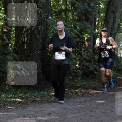 28.09.2025 - 33. Volkslauf durch das schöne Alstertal Strokosch-Dieckow http://msf.ph/oto/8969536 28.09.2025 11:30:03 Laufen 3346, 069 meine-sportfotos.de