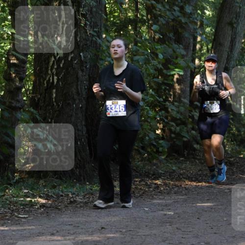 28.09.2025 - 33. Volkslauf durch das schöne Alstertal Strokosch-Dieckow http://msf.ph/oto/8969537 28.09.2025 11:30:03 Laufen 3346, 3069 meine-sportfotos.de