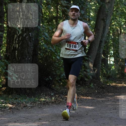 28.09.2025 - 33. Volkslauf durch das schöne Alstertal Strokosch-Dieckow http://msf.ph/oto/8969540 28.09.2025 11:30:08 Laufen 1516, 314, 3175 meine-sportfotos.de
