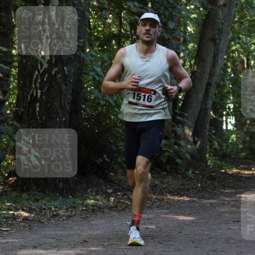 28.09.2025 - 33. Volkslauf durch das schöne Alstertal Strokosch-Dieckow http://msf.ph/oto/8969541 28.09.2025 11:30:08 Laufen 1516, 3175 meine-sportfotos.de
