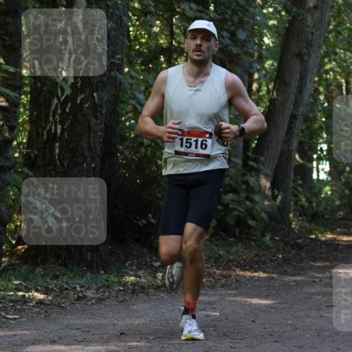 28.09.2025 - 33. Volkslauf durch das schöne Alstertal Strokosch-Dieckow http://msf.ph/oto/8969542 28.09.2025 11:30:08 Laufen 1516 meine-sportfotos.de